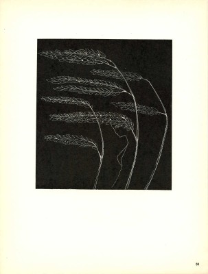 [Красаускас С. Альбом репродукций. 2-е изд.]. Krasauskas S. Antras leidimas. Vilnius: Vaga, 1966.